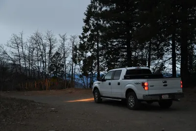 DSC_0154 (Large).JPG